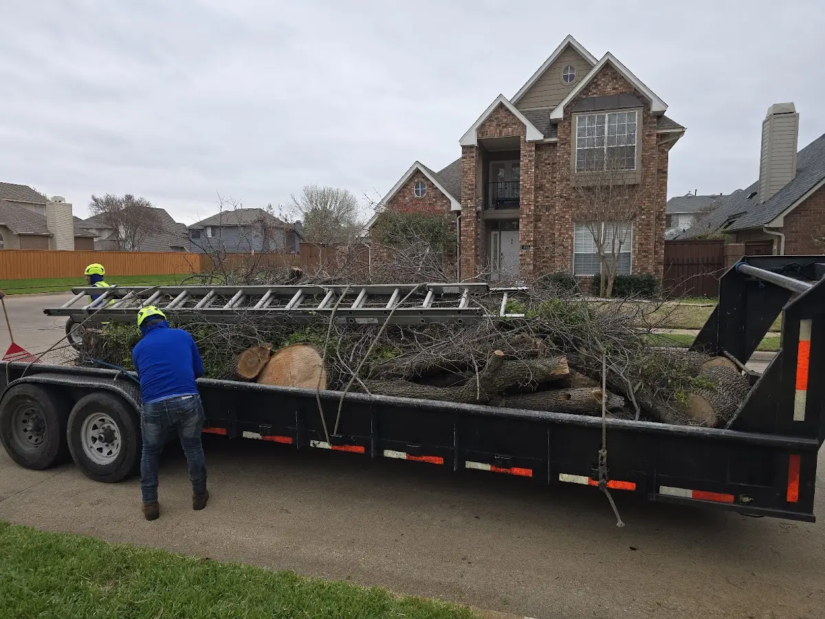 Expert Tree Pest Control with proper safety equipment in Baldwinville